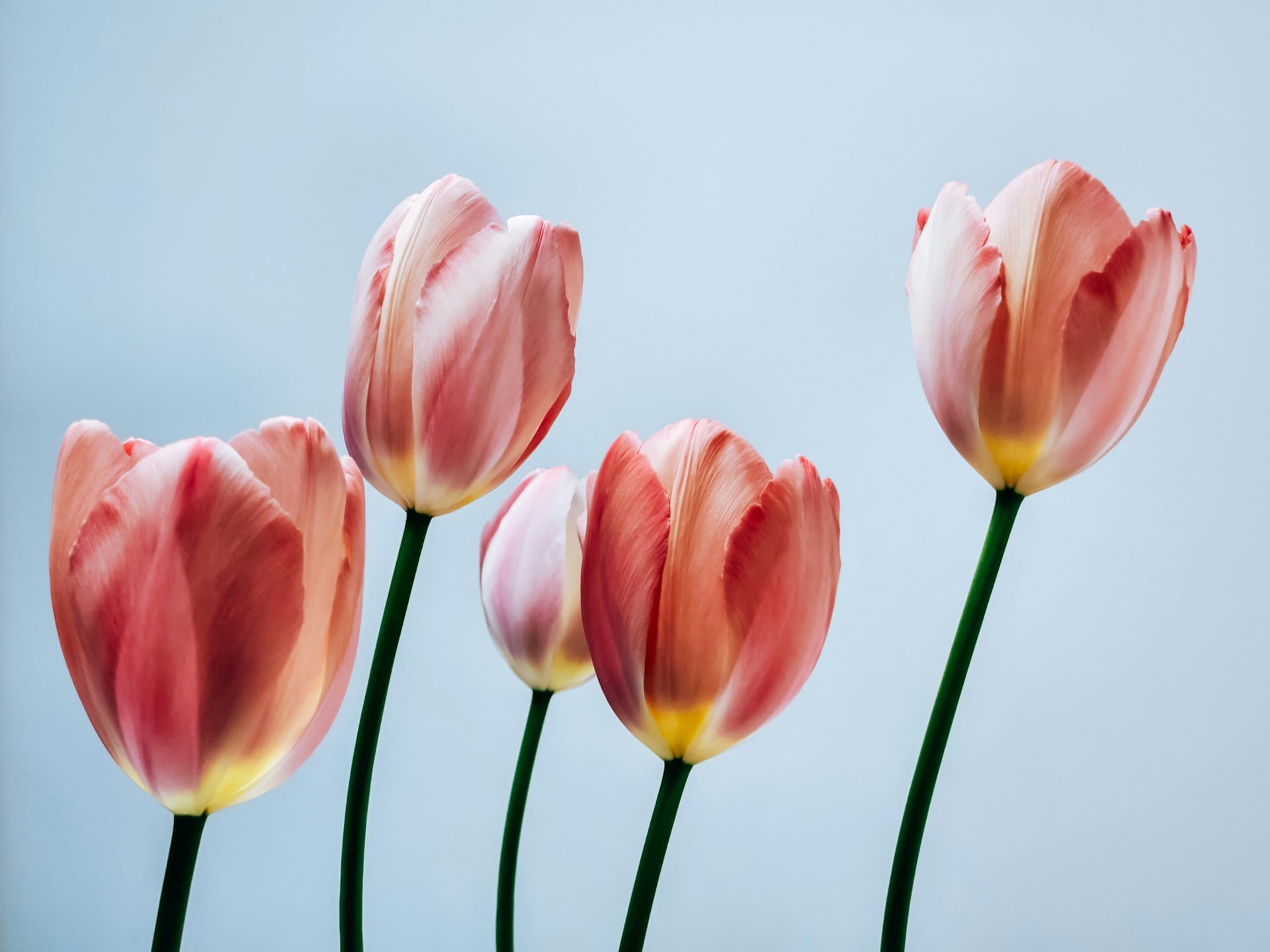 Building a Life You Love Through Small Daily Actions